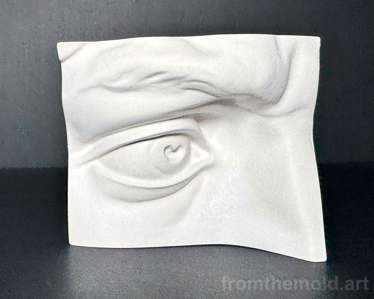 Eye of David Plaster Study Cast – Portrait Drawing, Anatomy & Form Reference