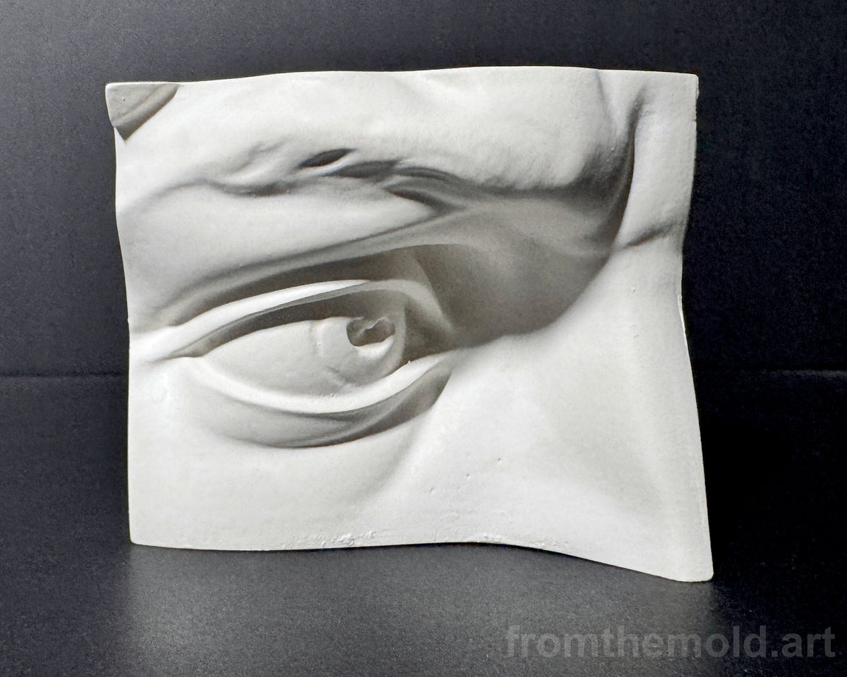 Eye of David Plaster Study Cast – Portrait Drawing, Anatomy & Form Reference