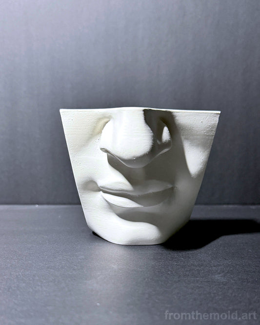 Mouth of David Plaster Study Cast – Portrait Drawing, Anatomy & Form Reference