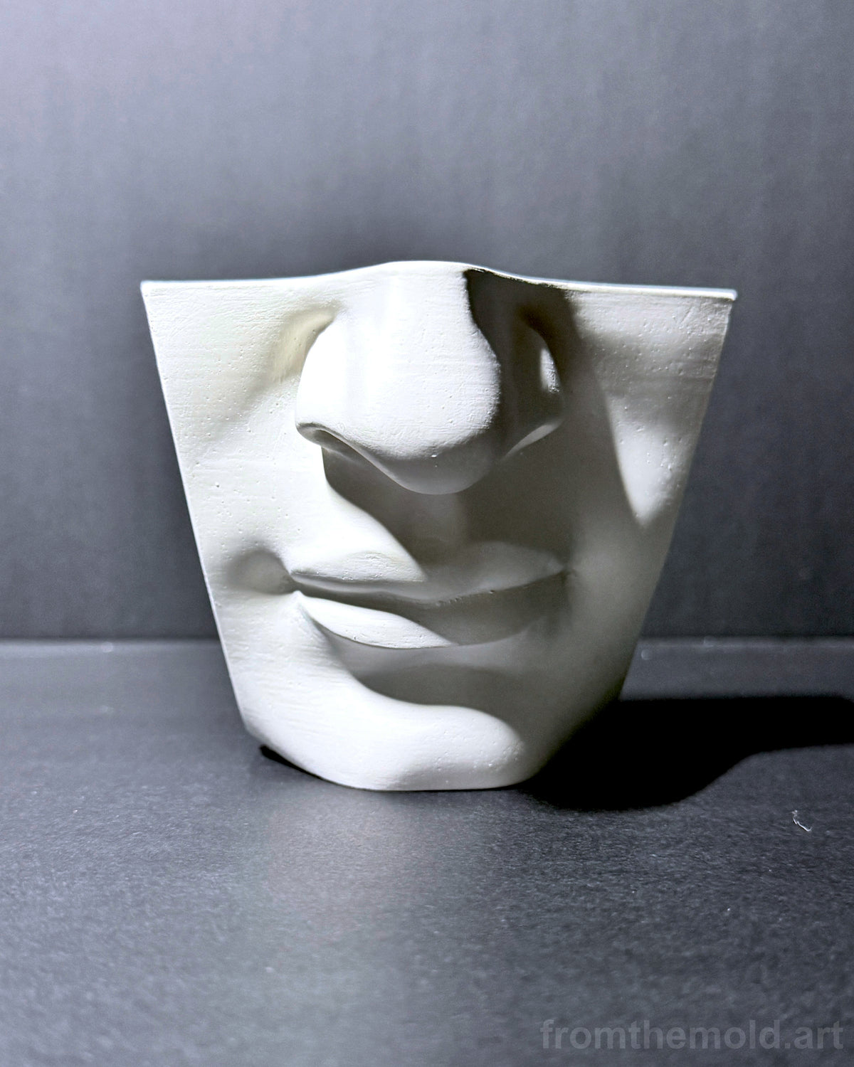 Mouth of David Plaster Study Cast – Portrait Drawing, Anatomy & Form Reference
