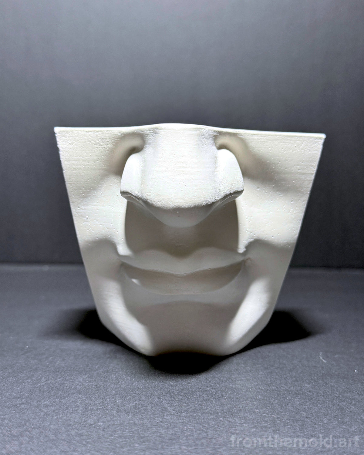 Mouth of David Plaster Study Cast – Portrait Drawing, Anatomy & Form Reference