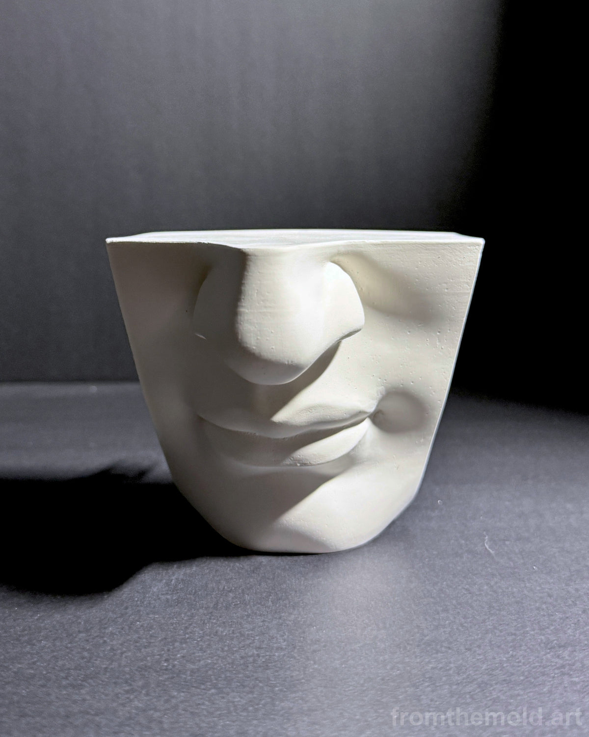 Mouth of David Plaster Study Cast – Portrait Drawing, Anatomy & Form Reference