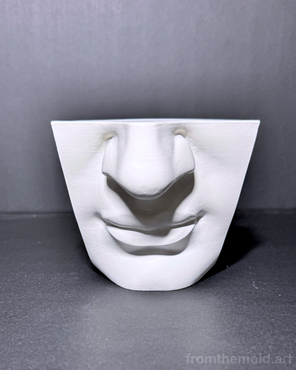 Mouth of David Plaster Study Cast – Portrait Drawing, Anatomy & Form Reference