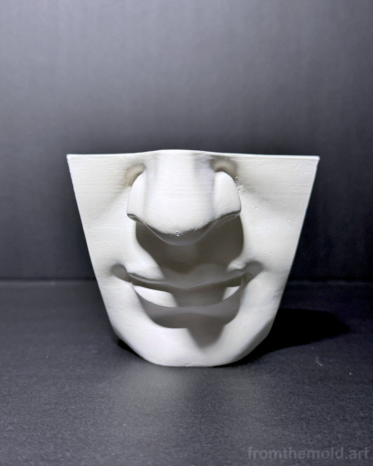 Mouth of David Plaster Study Cast – Portrait Drawing, Anatomy & Form Reference