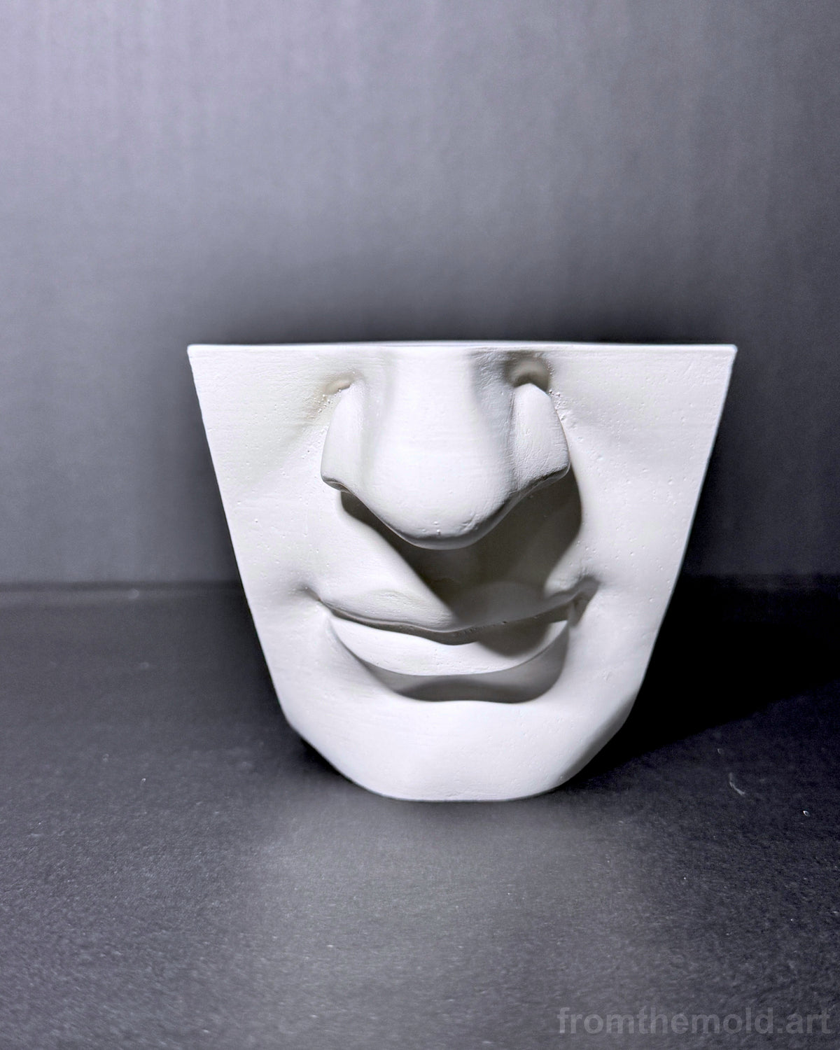 Mouth of David Plaster Study Cast – Portrait Drawing, Anatomy & Form Reference