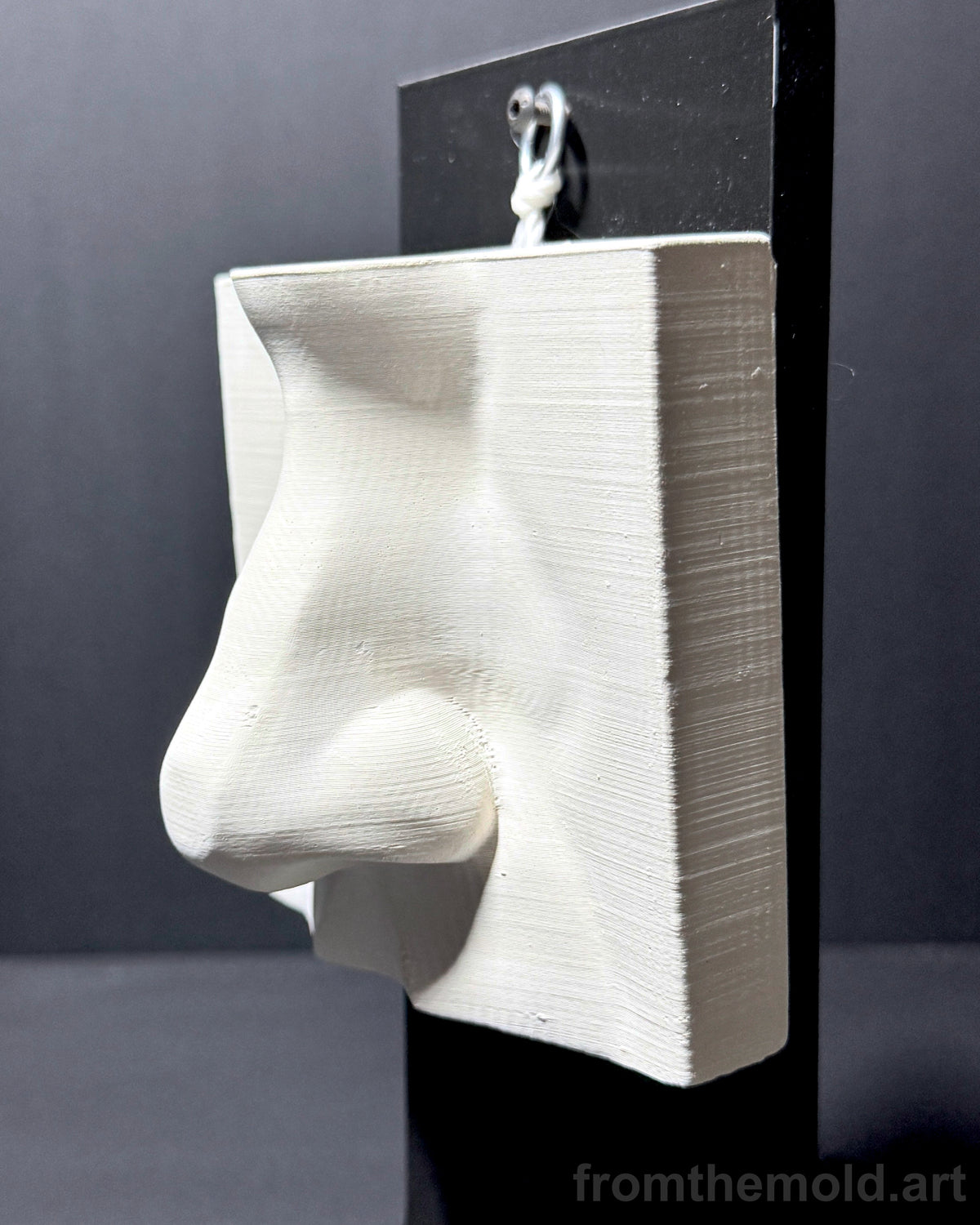 Basic Nose Plaster Study Cast – Drawing Practice, Anatomy & Form Reference