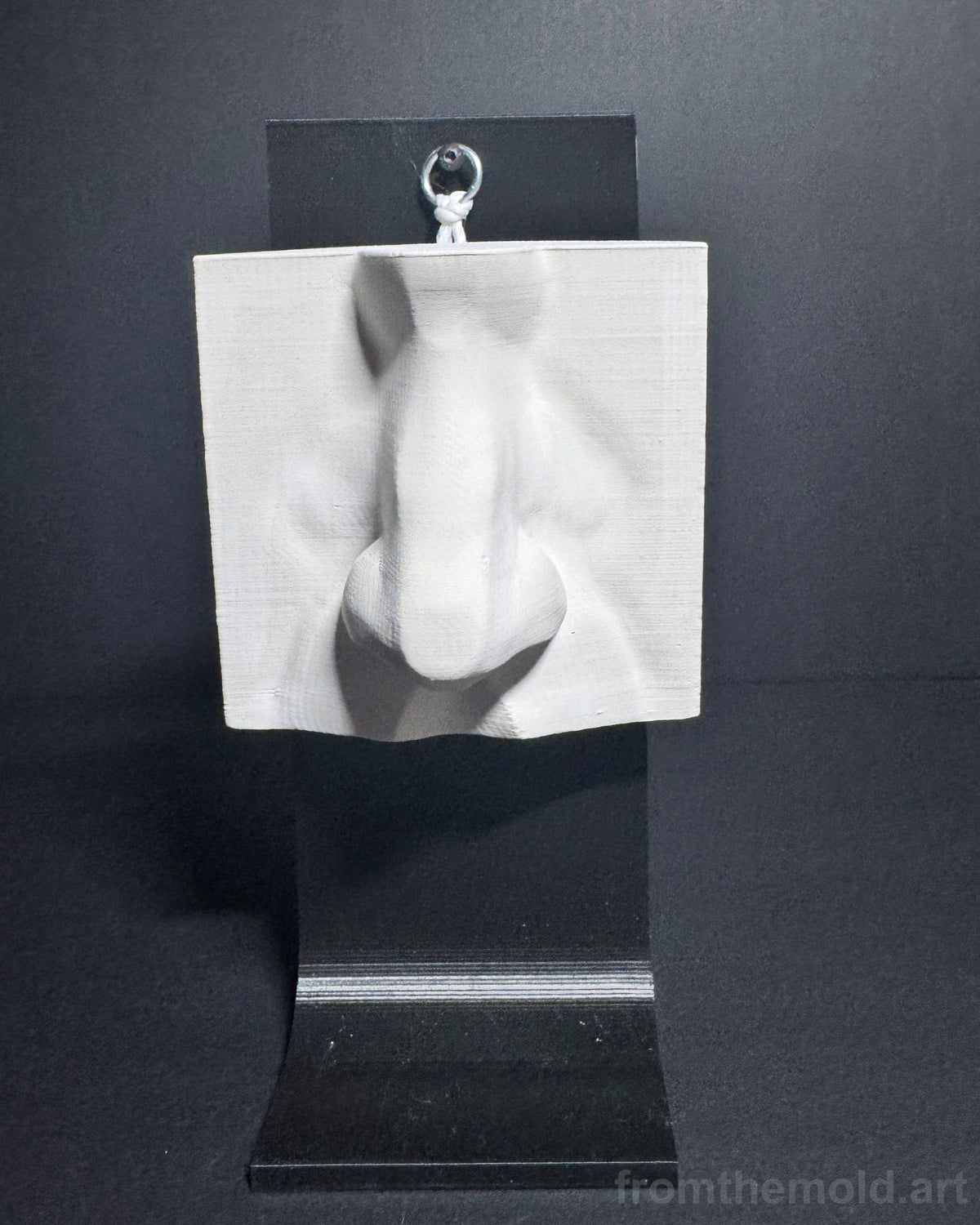 Basic Nose & Ear Plaster Study Cast Set – Drawing, Anatomy & Form Reference