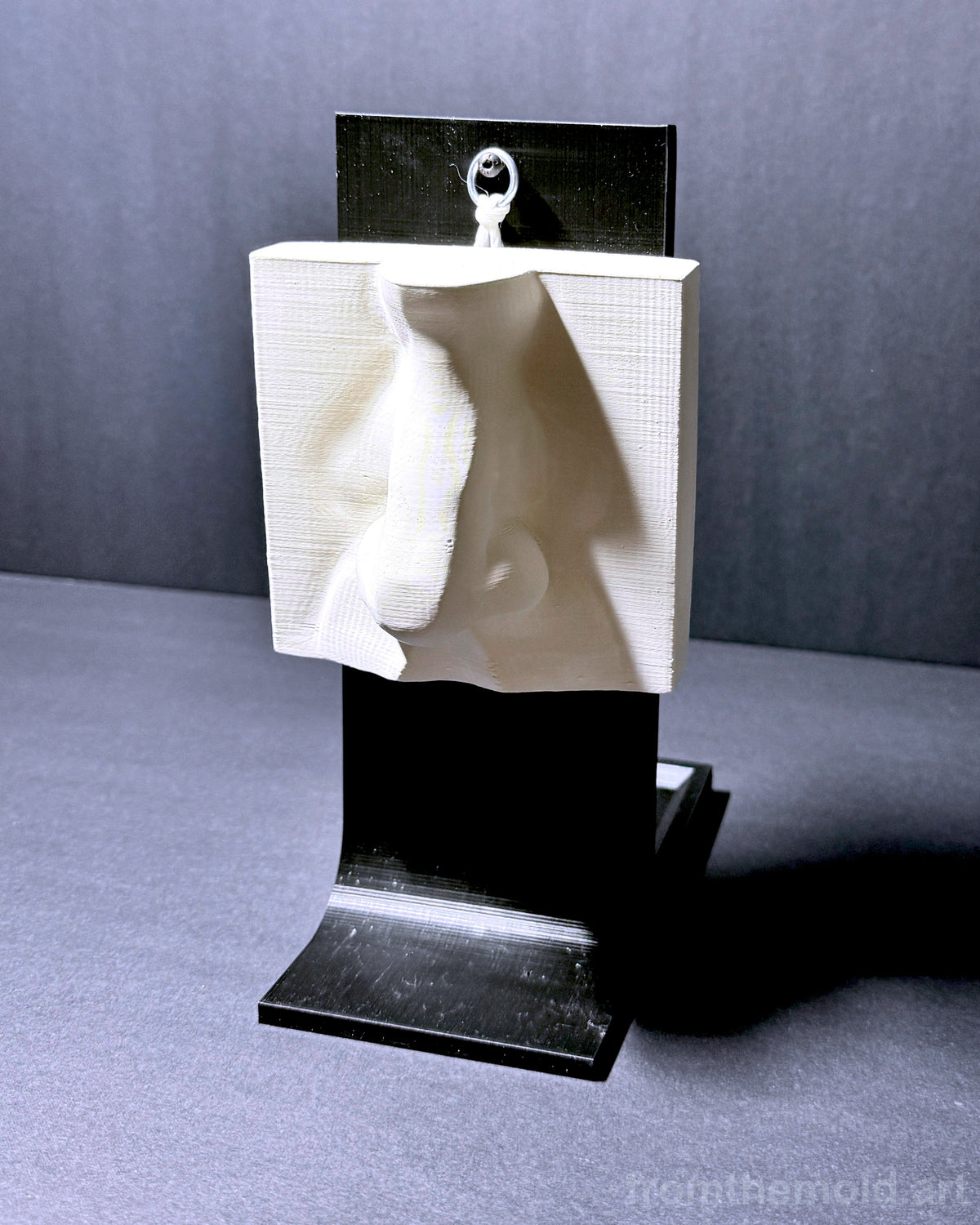 Basic Nose & Ear Plaster Study Cast Set – Drawing, Anatomy & Form Reference