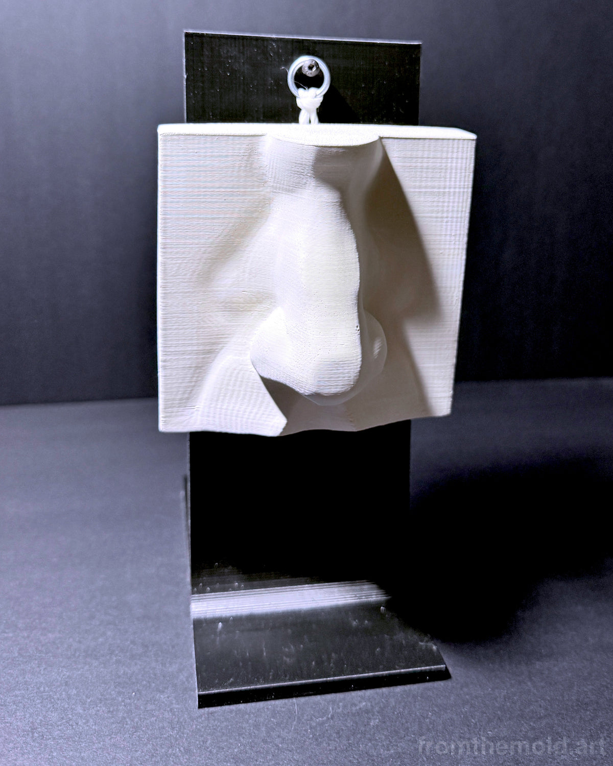 Basic Nose & Ear Plaster Study Cast Set – Drawing, Anatomy & Form Reference