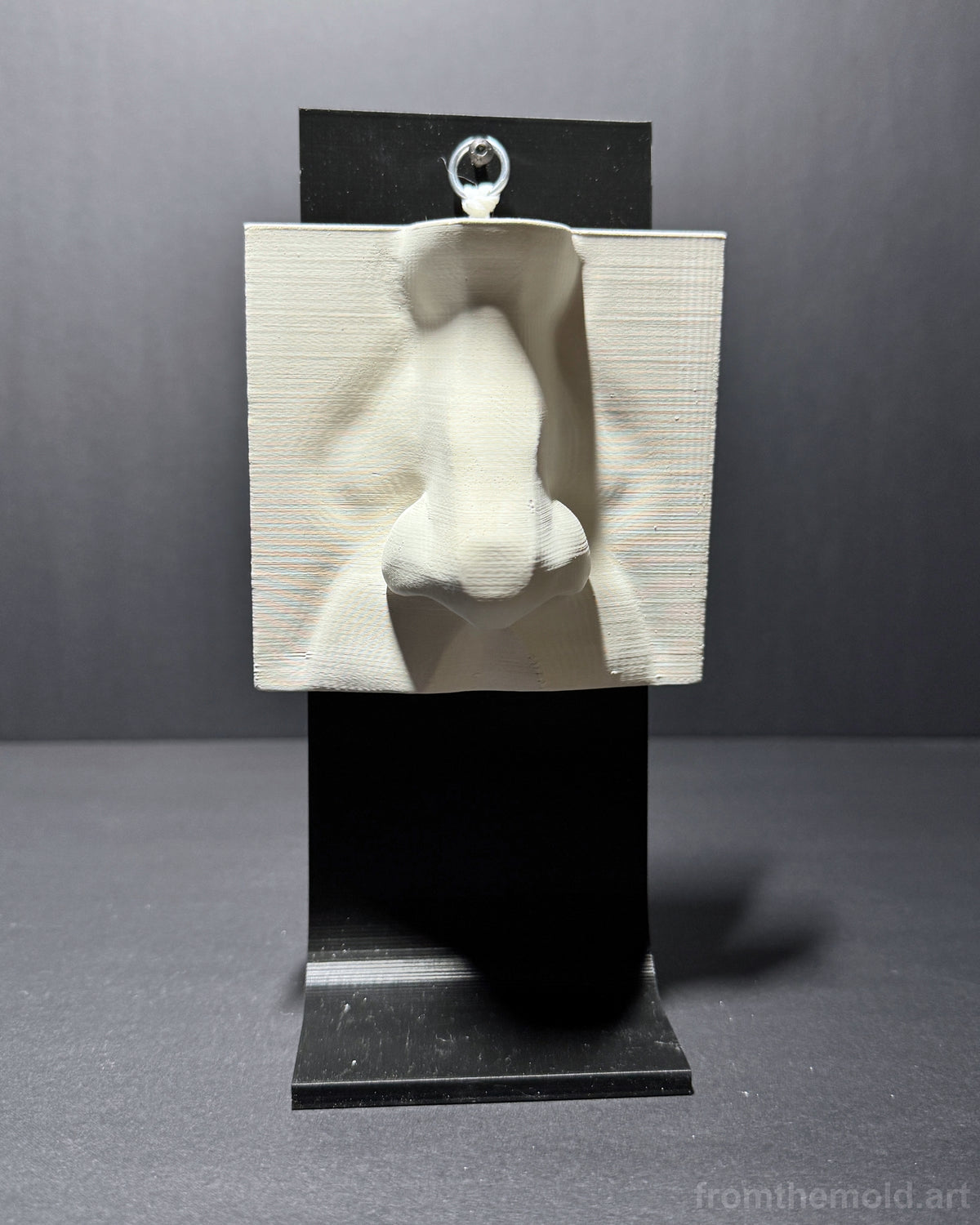 Desktop Plaster Cast Study Stand – Artist Cast Reference Holder