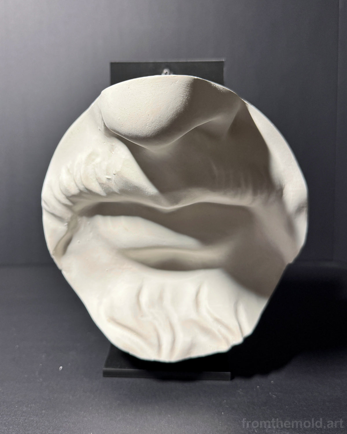 Desktop Plaster Cast Study Stand – Artist Cast Reference Holder