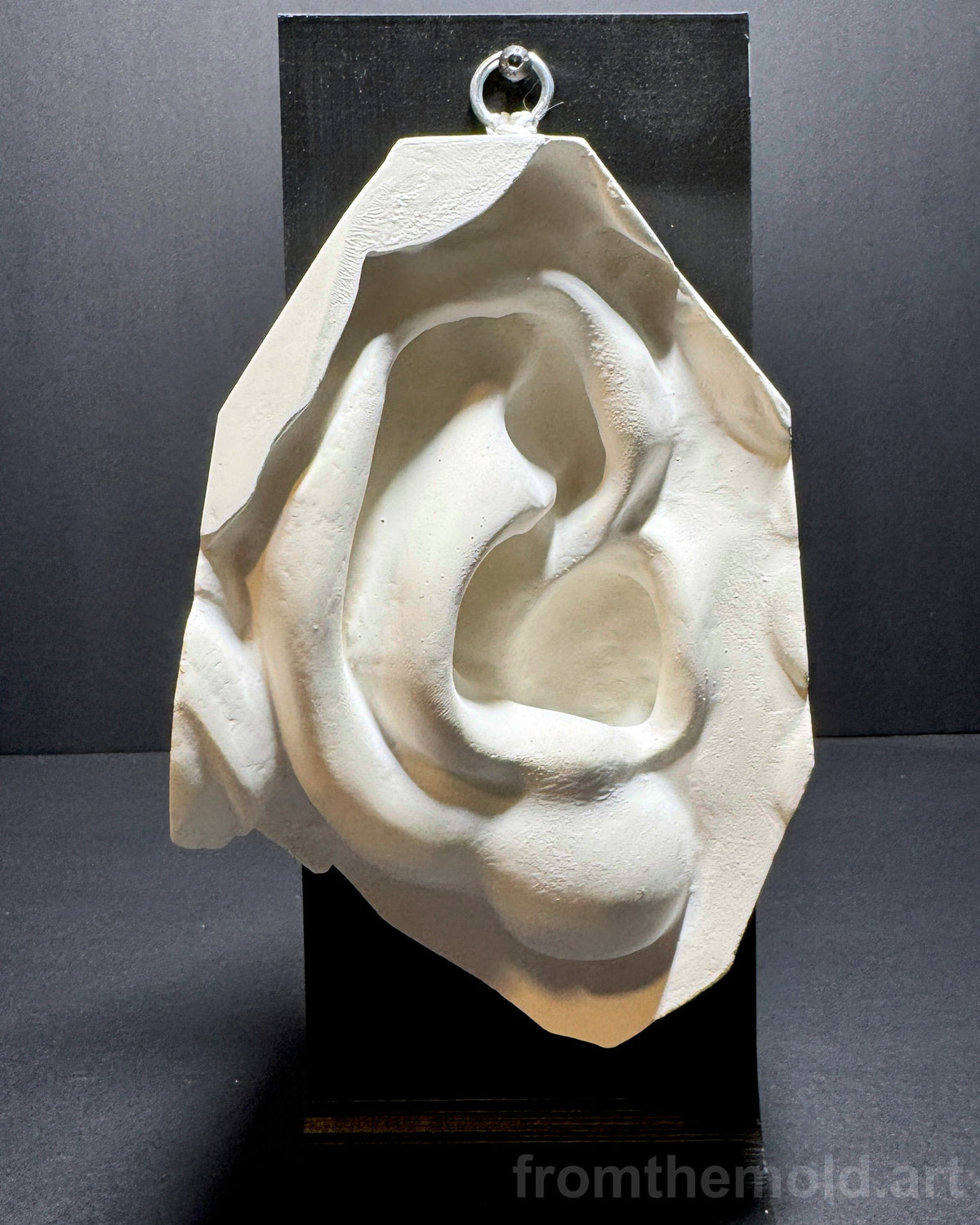Ear of David Plaster Study Cast – Portrait Drawing, Anatomy & Form Reference