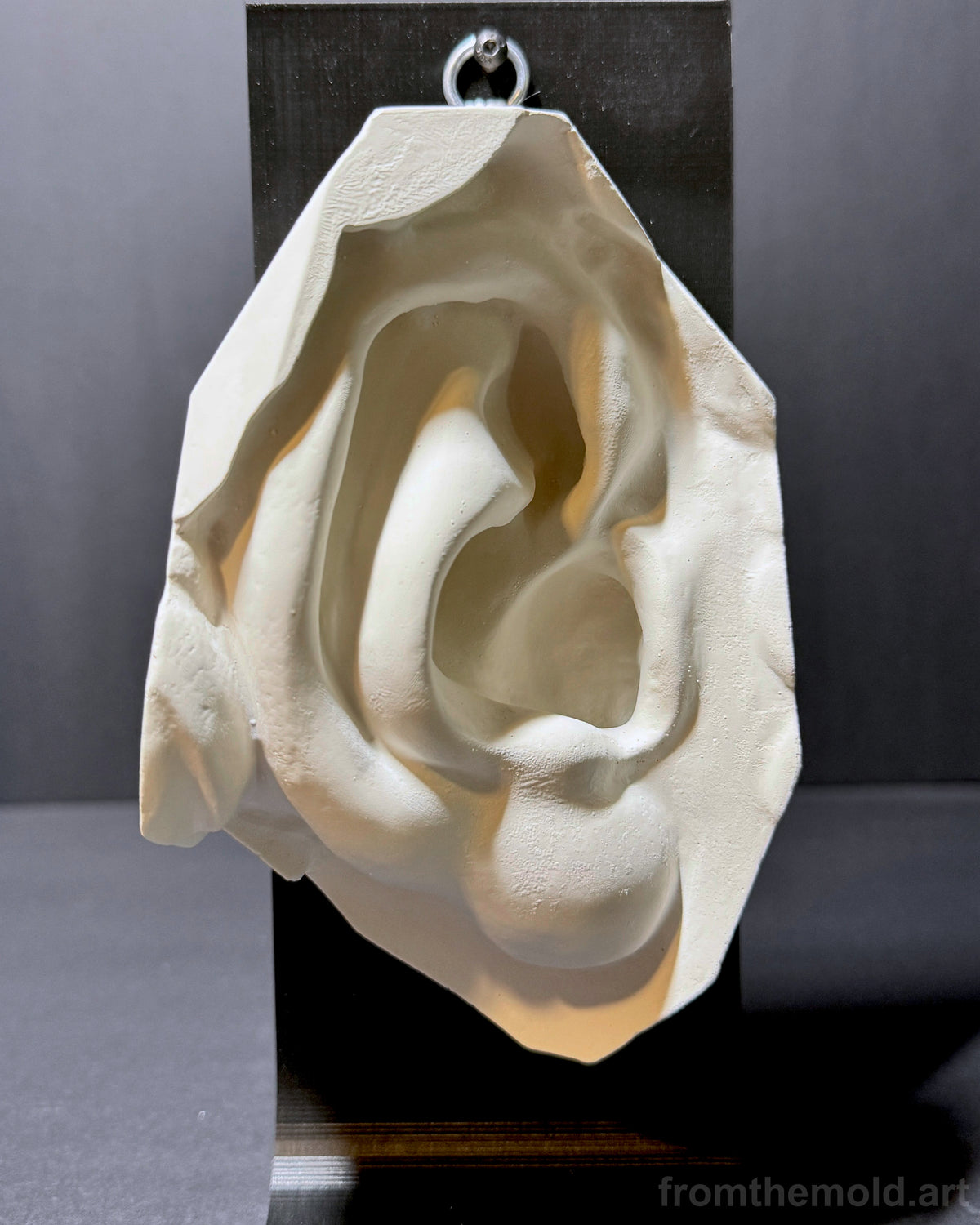 Ear of David Plaster Study Cast – Portrait Drawing, Anatomy & Form Reference