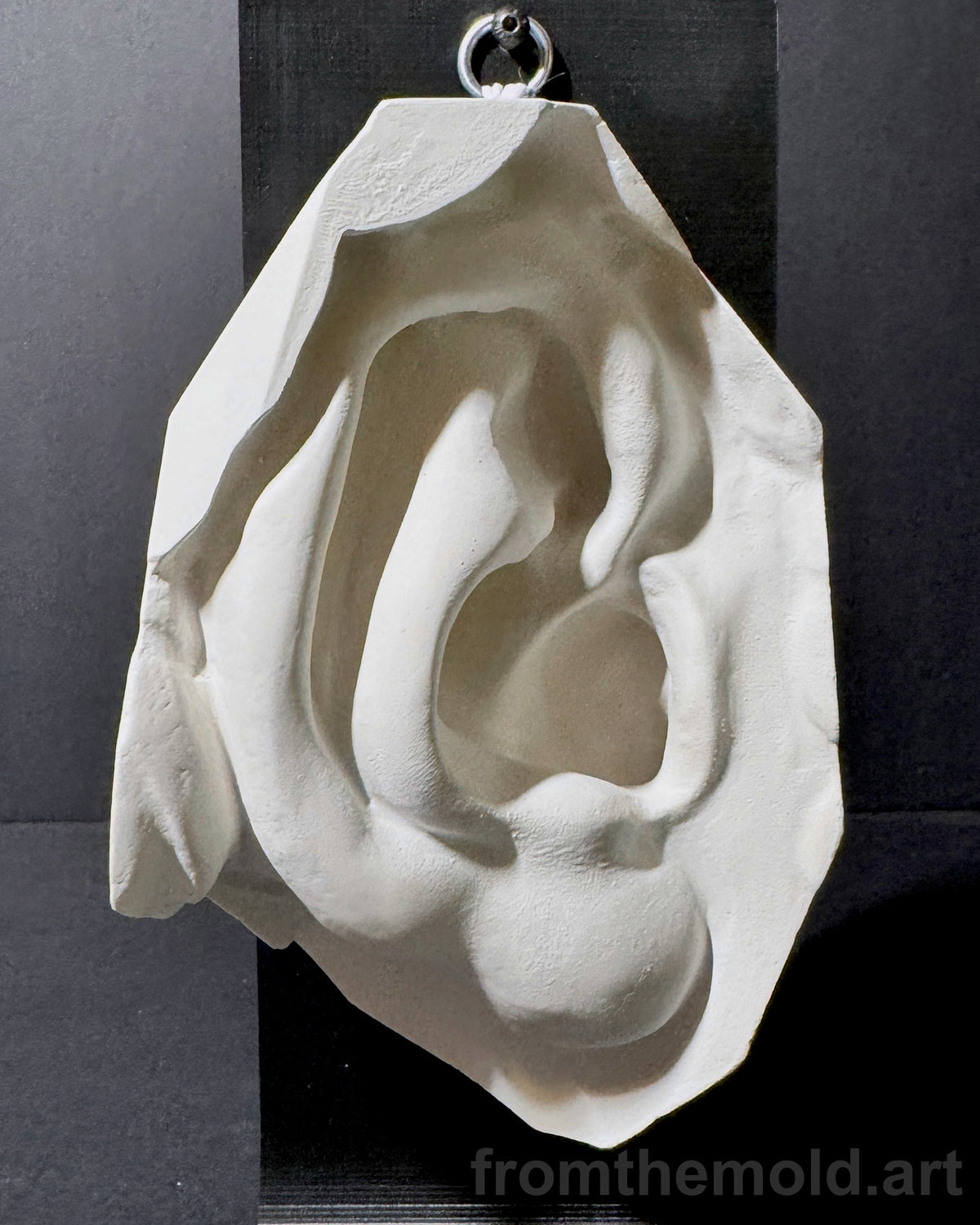 Ear of David Plaster Study Cast – Portrait Drawing, Anatomy & Form Reference
