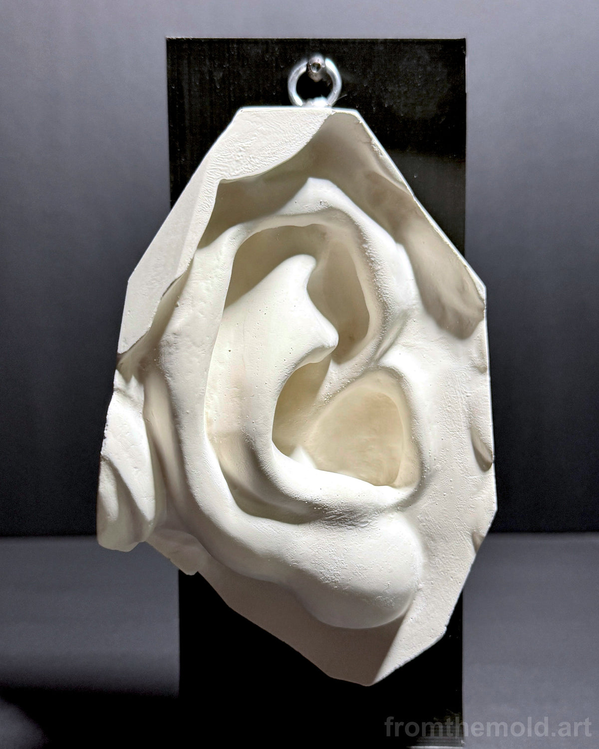 Ear of David Plaster Study Cast – Portrait Drawing, Anatomy & Form Reference