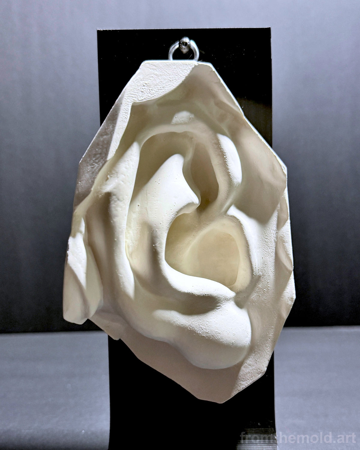 Ear of David Plaster Study Cast – Portrait Drawing, Anatomy & Form Reference