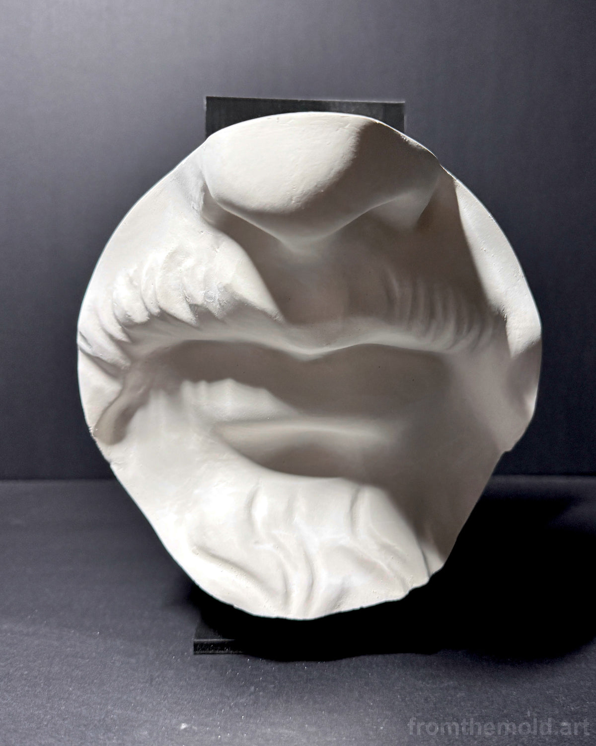 Bearded Mouth & Nose Plaster Study Cast – Facial Form, Drawing & Light Study