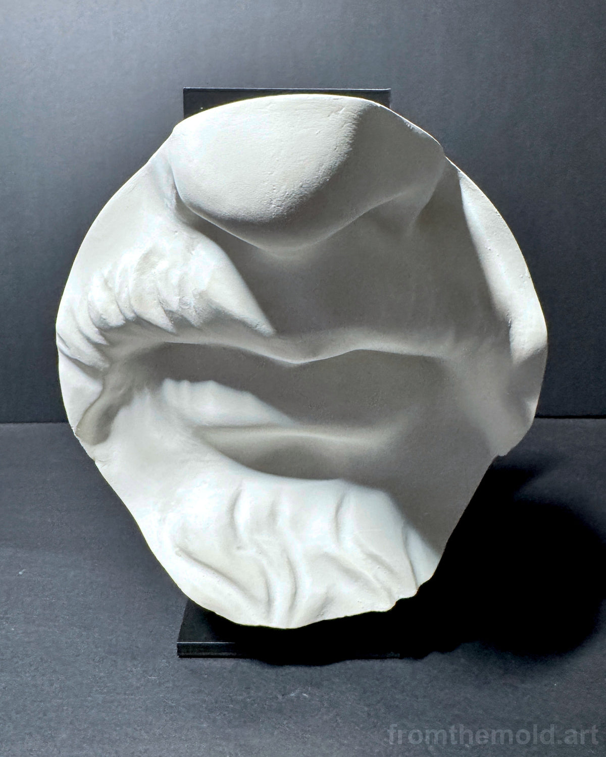 Bearded Mouth & Nose Plaster Study Cast – Facial Form, Drawing & Light Study