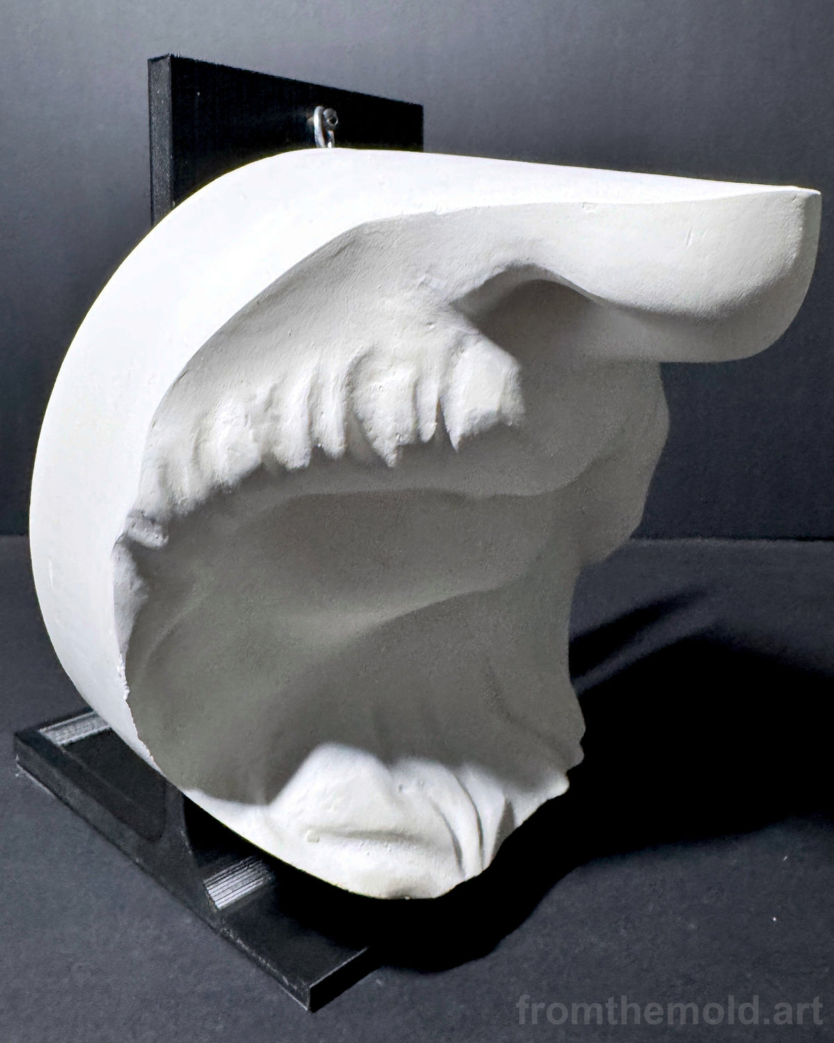 Bearded Mouth & Nose Plaster Study Cast – Facial Form, Drawing & Light Study