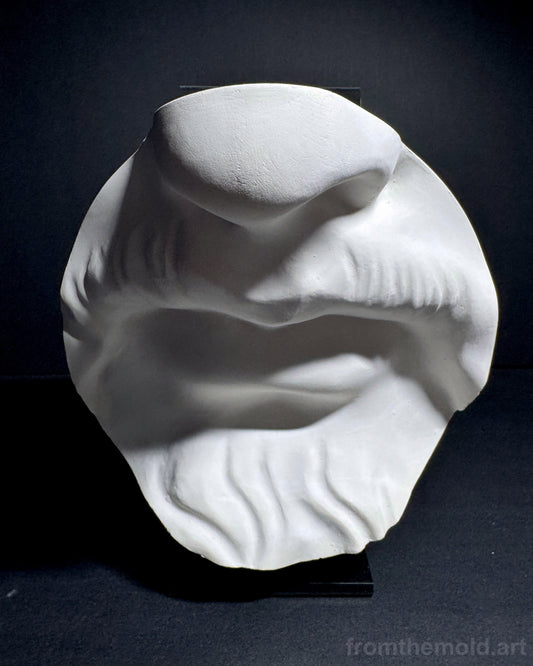 Bearded Mouth & Nose Plaster Study Cast – Facial Form, Drawing & Light Study