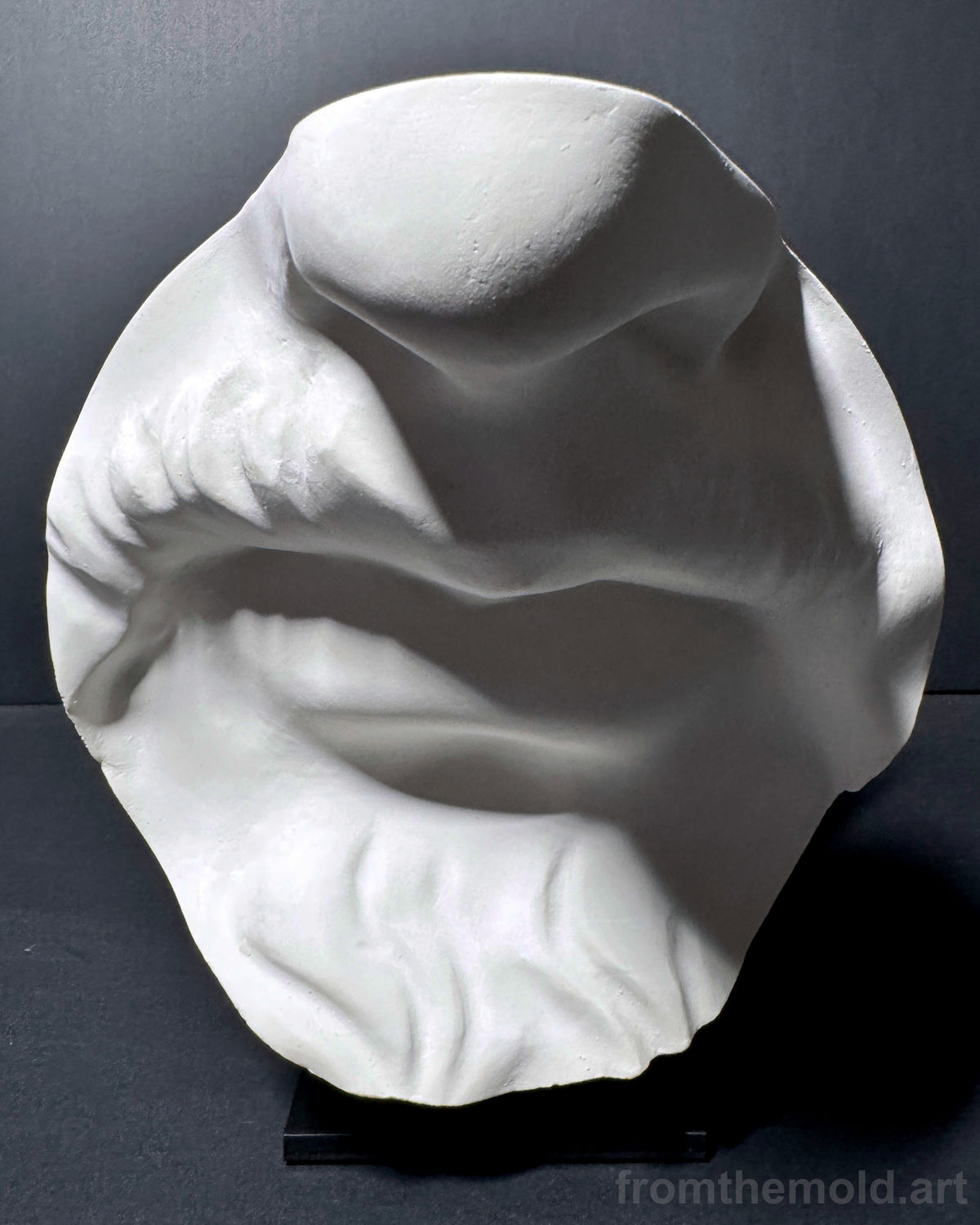 Bearded Mouth & Nose Plaster Study Cast – Facial Form, Drawing & Light Study