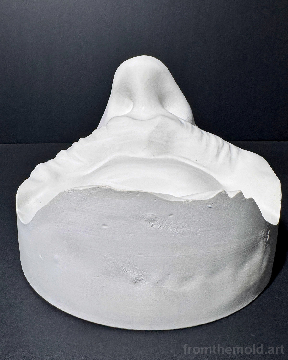 Bearded Mouth & Nose Plaster Study Cast – Facial Form, Drawing & Light Study