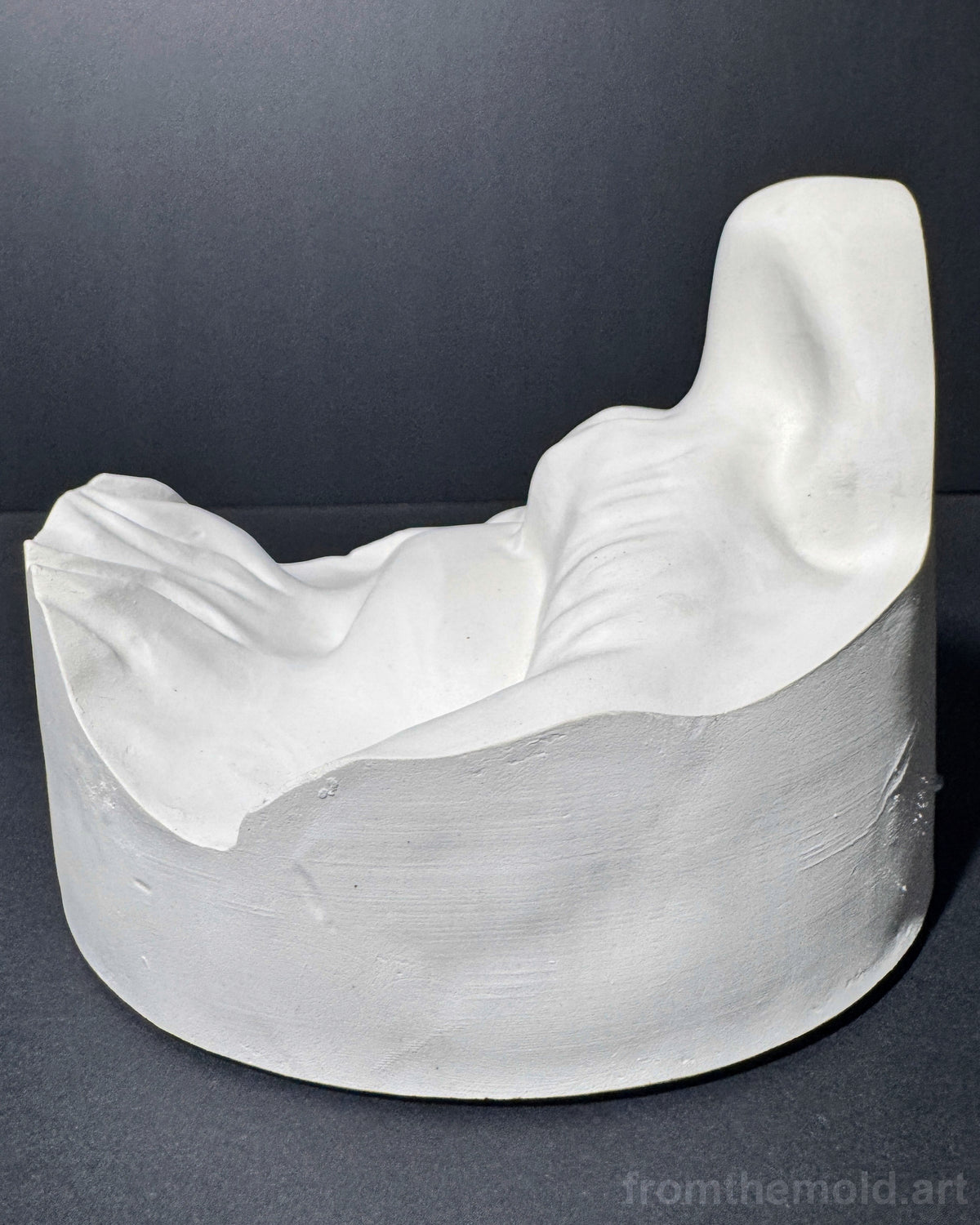 Bearded Mouth & Nose Plaster Study Cast – Facial Form, Drawing & Light Study