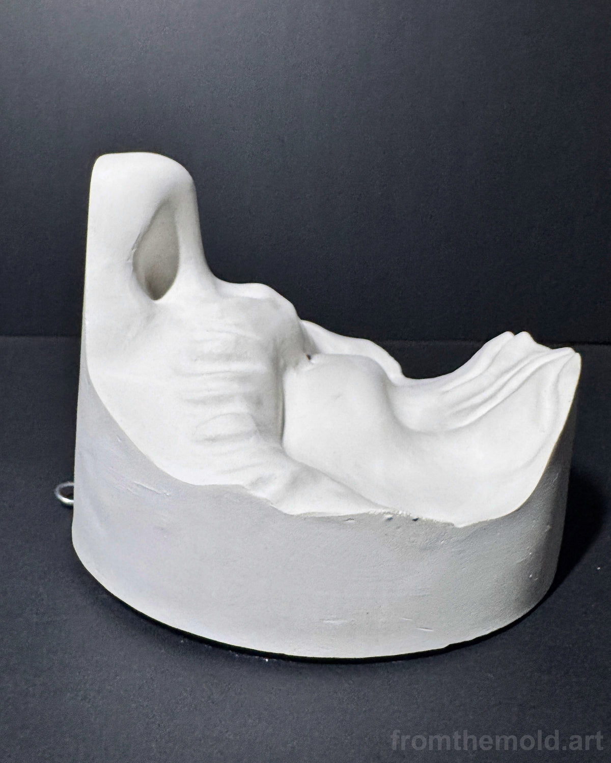Bearded Mouth & Nose Plaster Study Cast – Facial Form, Drawing & Light Study