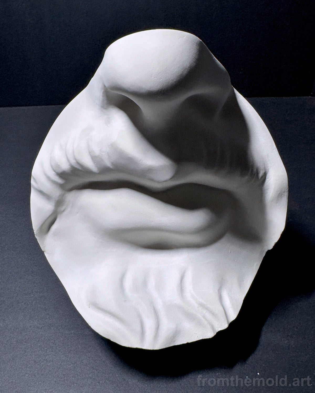 Bearded Mouth & Nose Plaster Study Cast – Facial Form, Drawing & Light Study