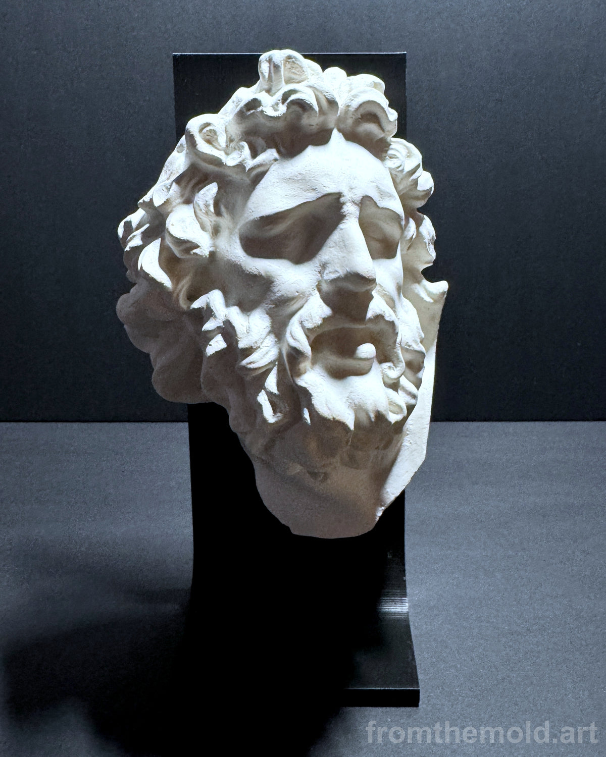 Laocoön Mask Plaster Study Cast – Portrait, Expression & Form Reference