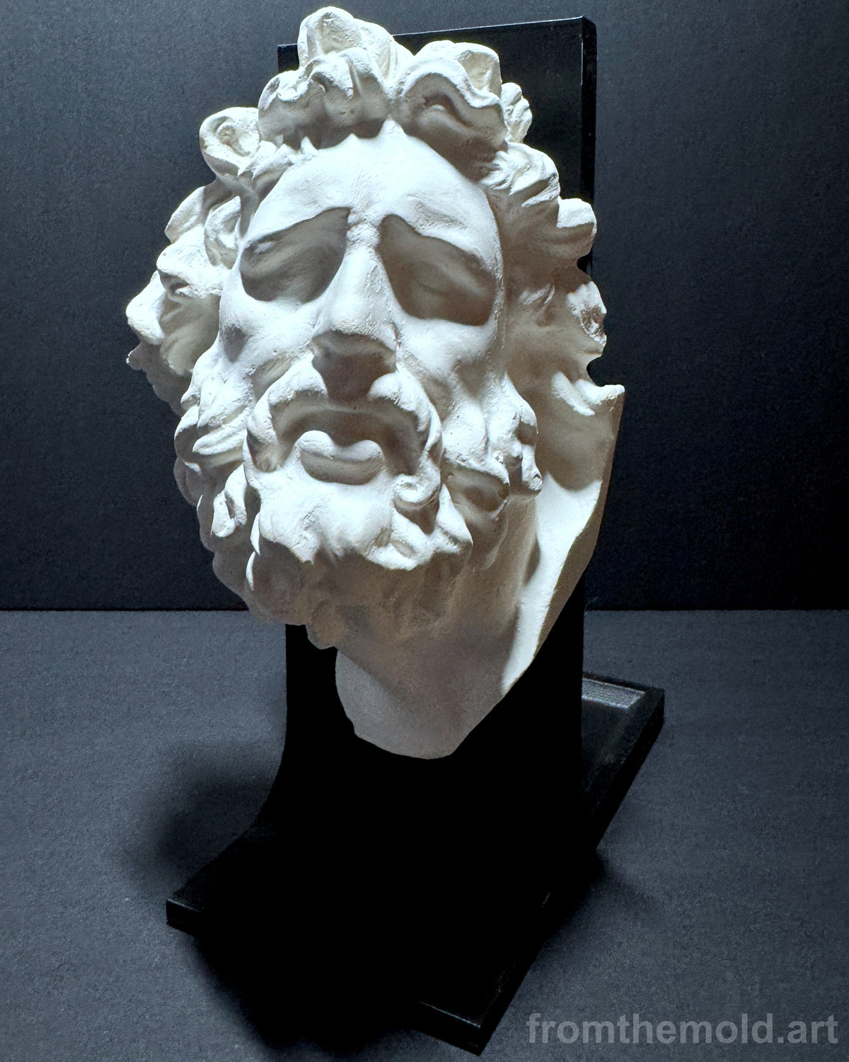 Laocoön Mask Plaster Study Cast – Portrait, Expression & Form Reference