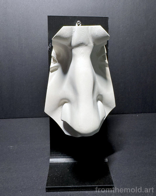 Nose of David Plaster Study Cast – Portrait Drawing, Anatomy & Form Reference