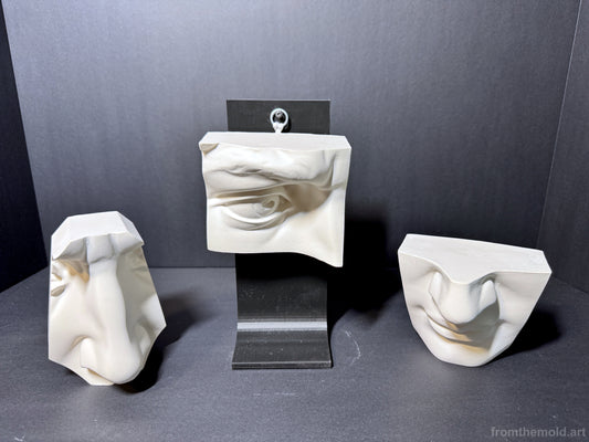 David 3-Piece Plaster Study Cast Set – Portrait Drawing & Anatomy Reference