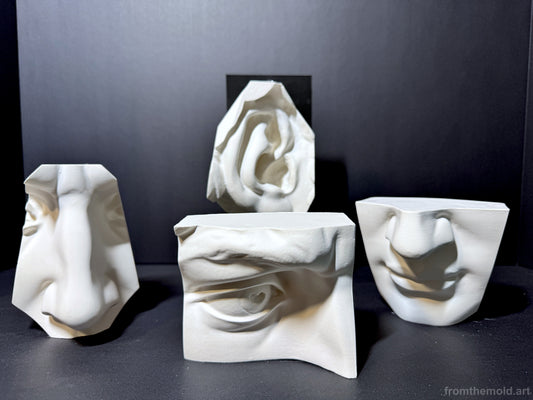 David 4-Piece Plaster Study Cast Set – Portrait Drawing & Anatomy Reference