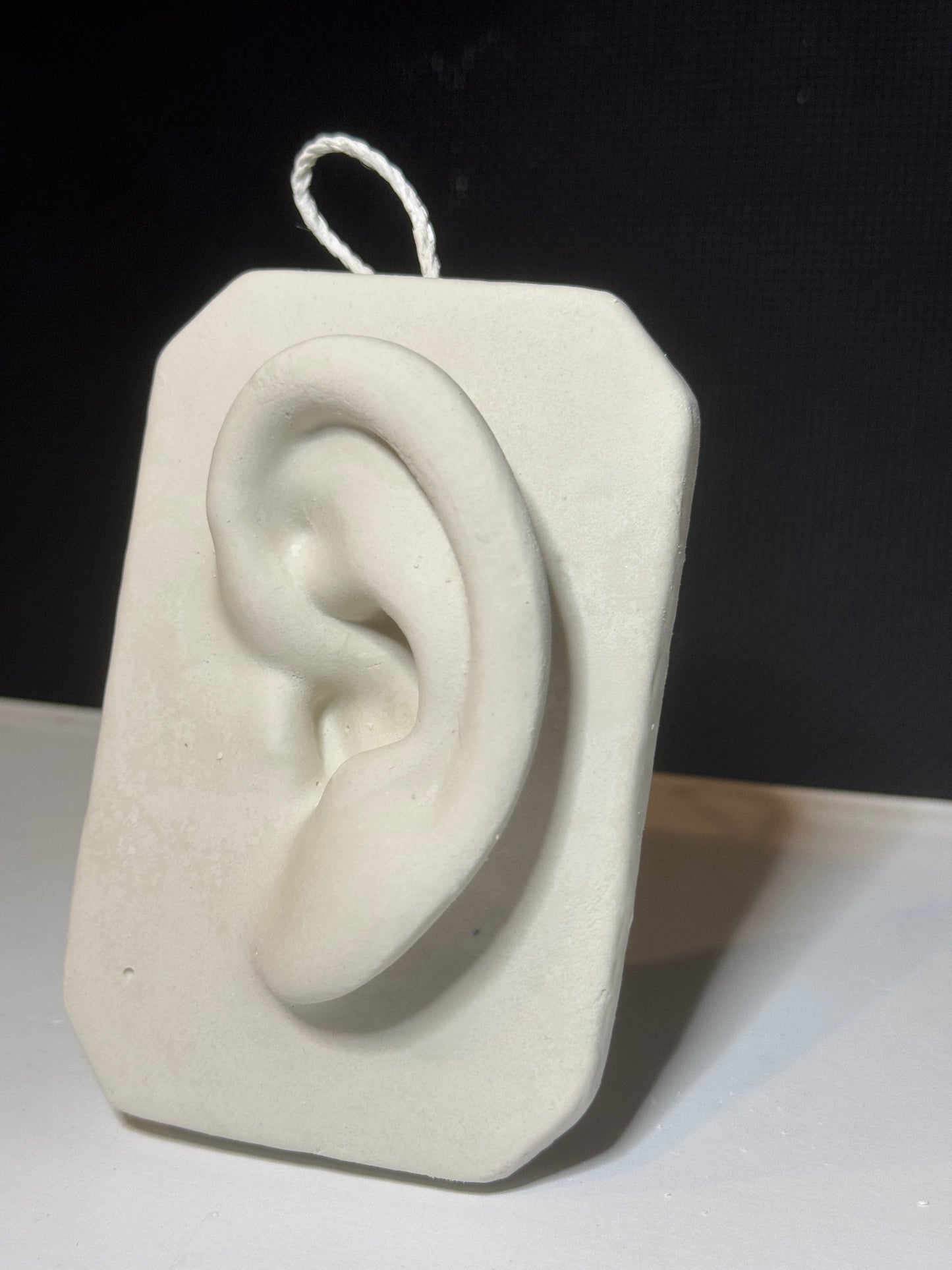 Basic Ear Plaster Cast Art Reference, Handmade Sculpture for Artists