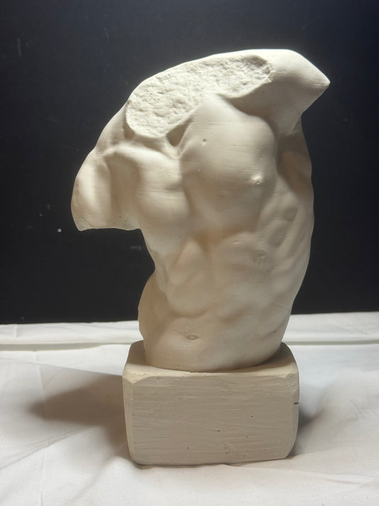 Gaddi Torso Plaster Cast Art Reference, Handmade Sculpture for Artists