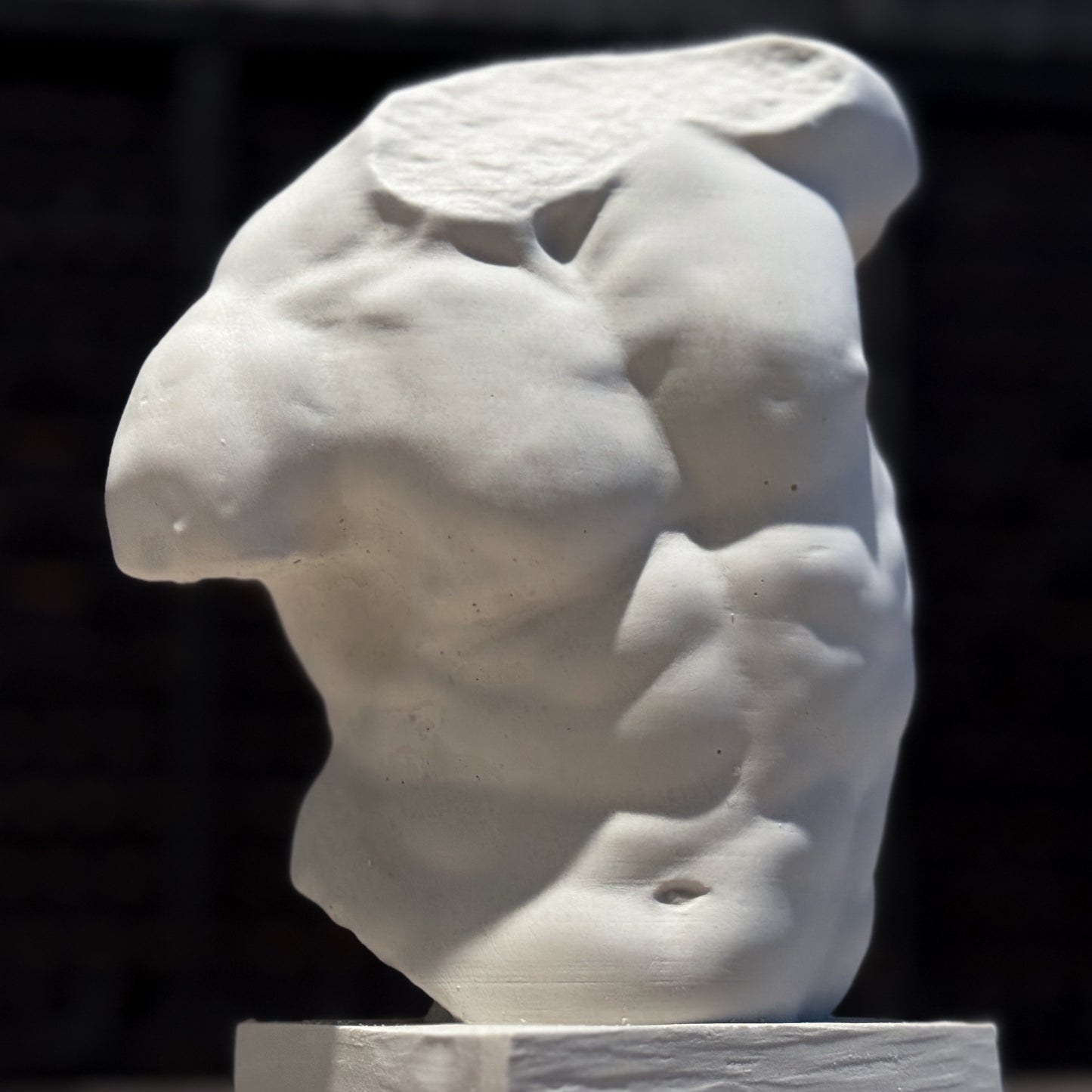 Gaddi Torso Plaster Cast Art Reference, Handmade Sculpture for Artists