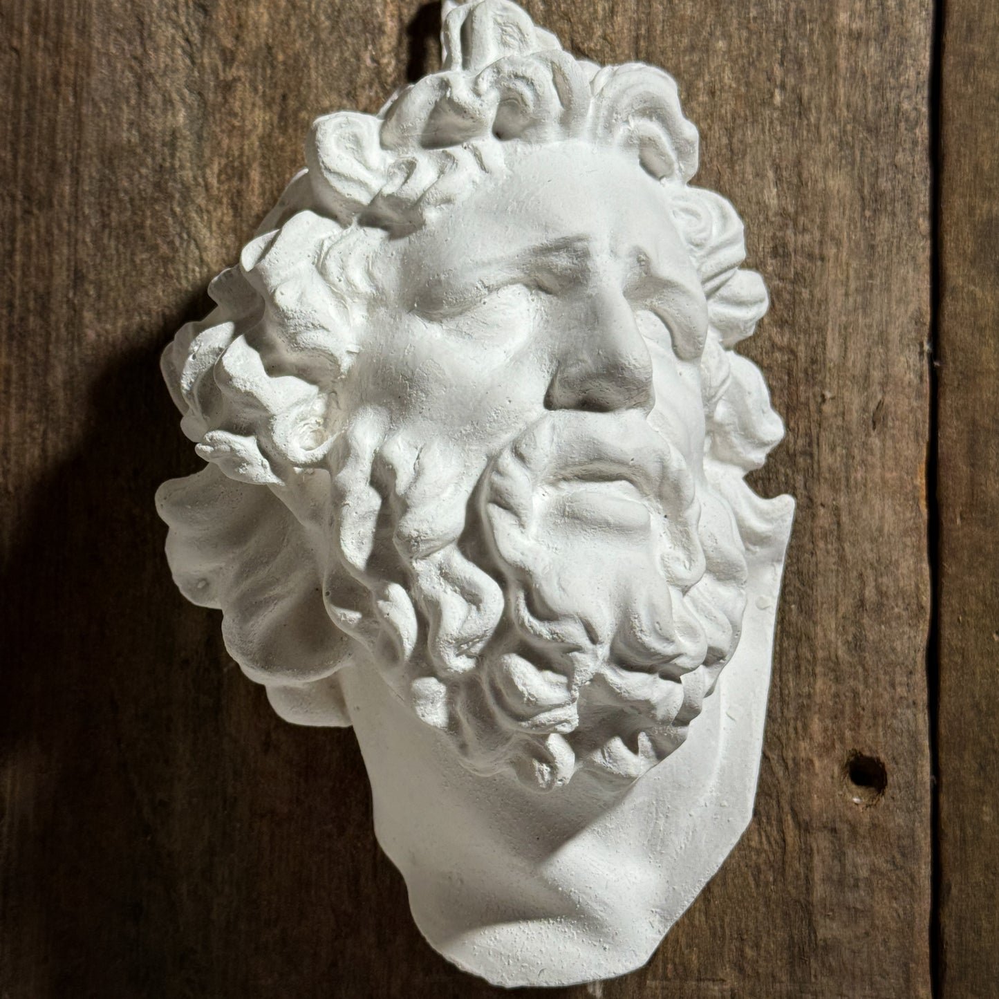 Laocoon mask Cast Art Reference, Handmade Sculpture for Artists