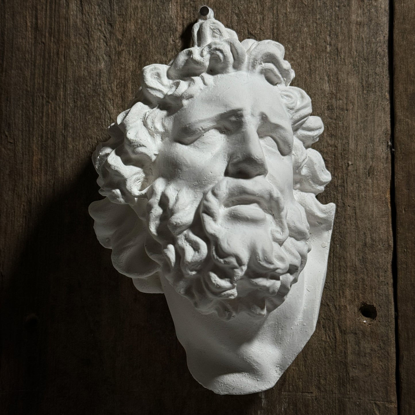 Laocoon mask Cast Art Reference, Handmade Sculpture for Artists