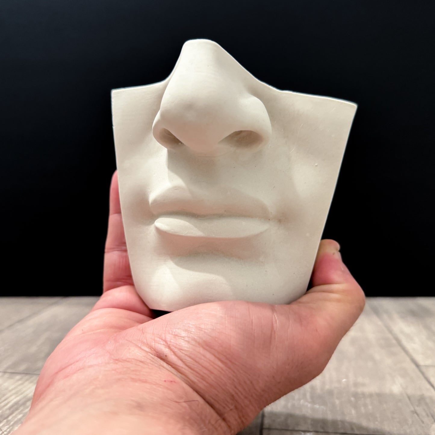 Mouth of David Plaster Cast Art Reference, Handmade Sculpture for Artists