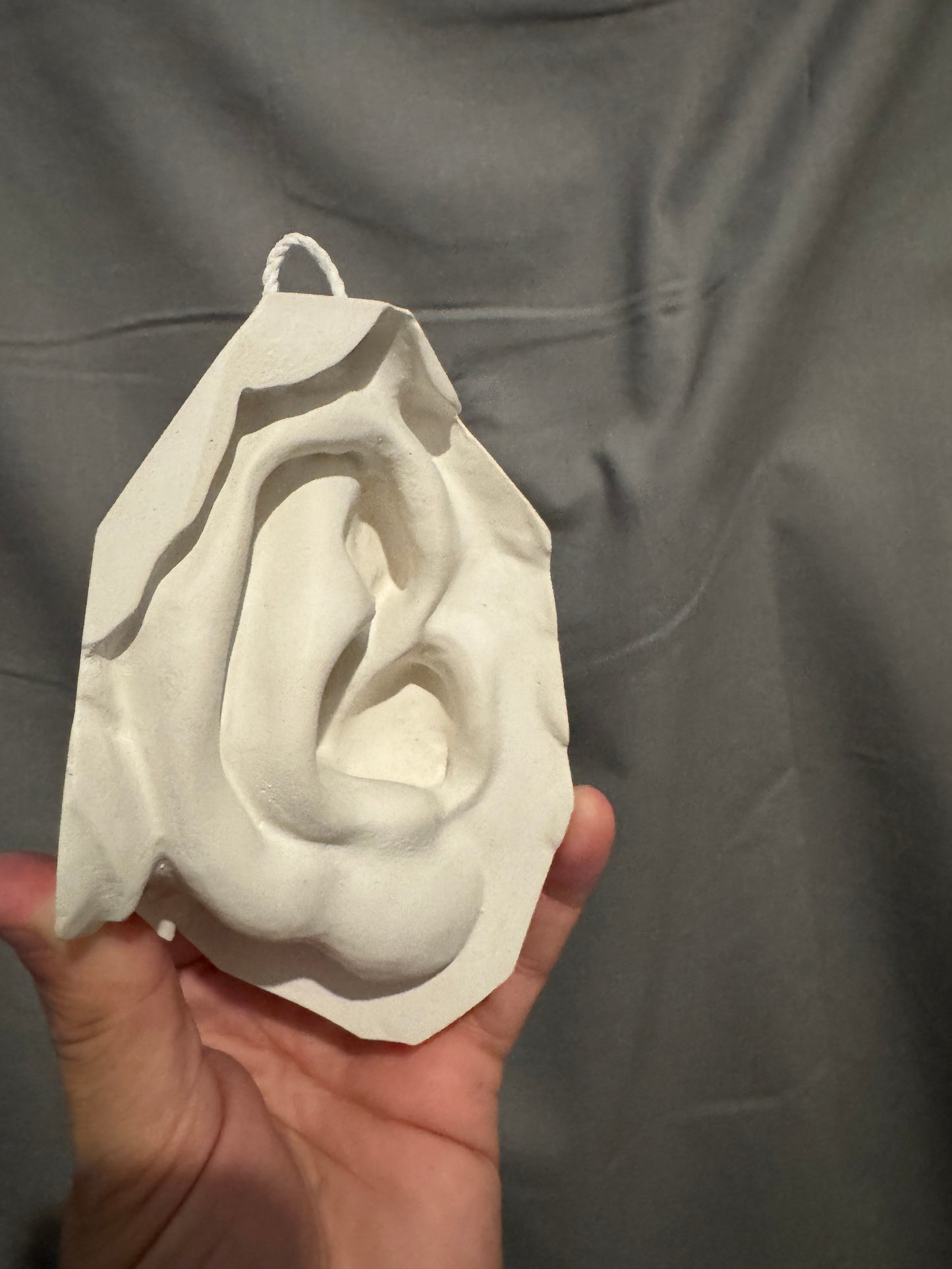 Ear of David Plaster Cast Art Reference, Handmade Sculpture for Artists