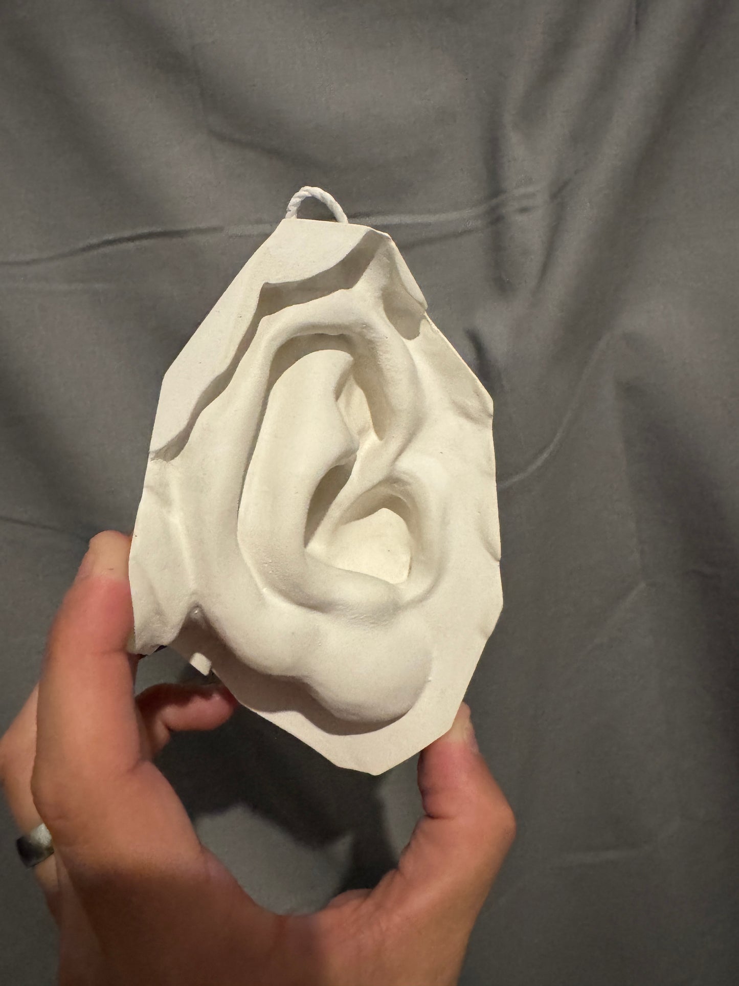 Ear of David Plaster Cast Art Reference, Handmade Sculpture for Artists