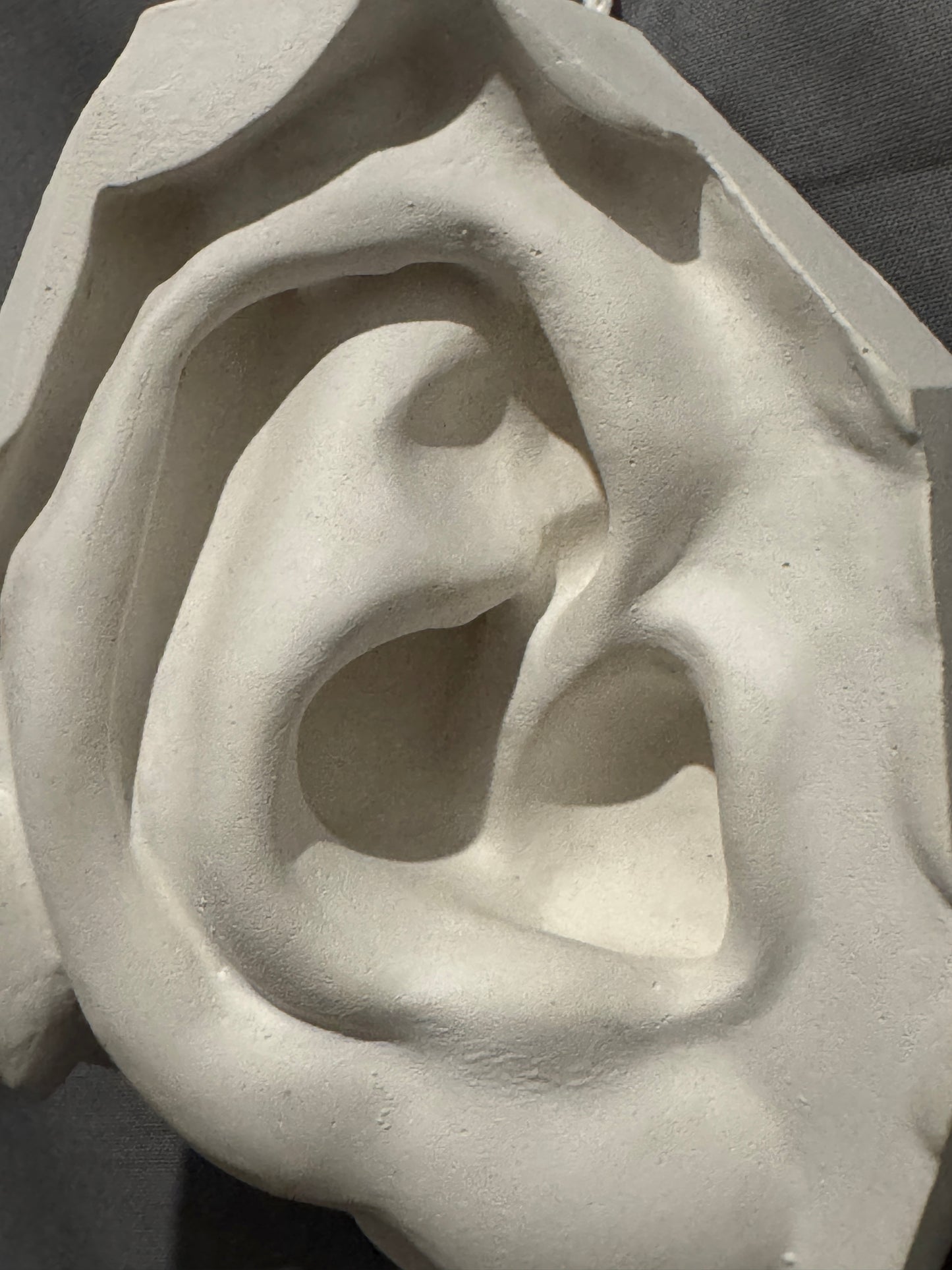 Ear of David Plaster Cast Art Reference, Handmade Sculpture for Artists