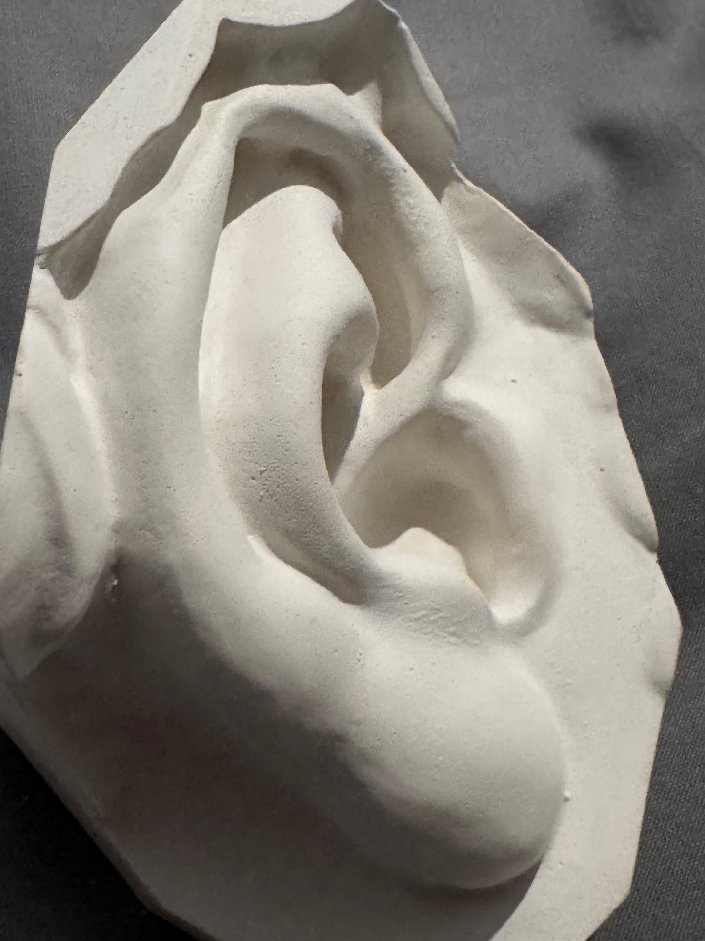 Ear of David Plaster Cast Art Reference, Handmade Sculpture for Artists