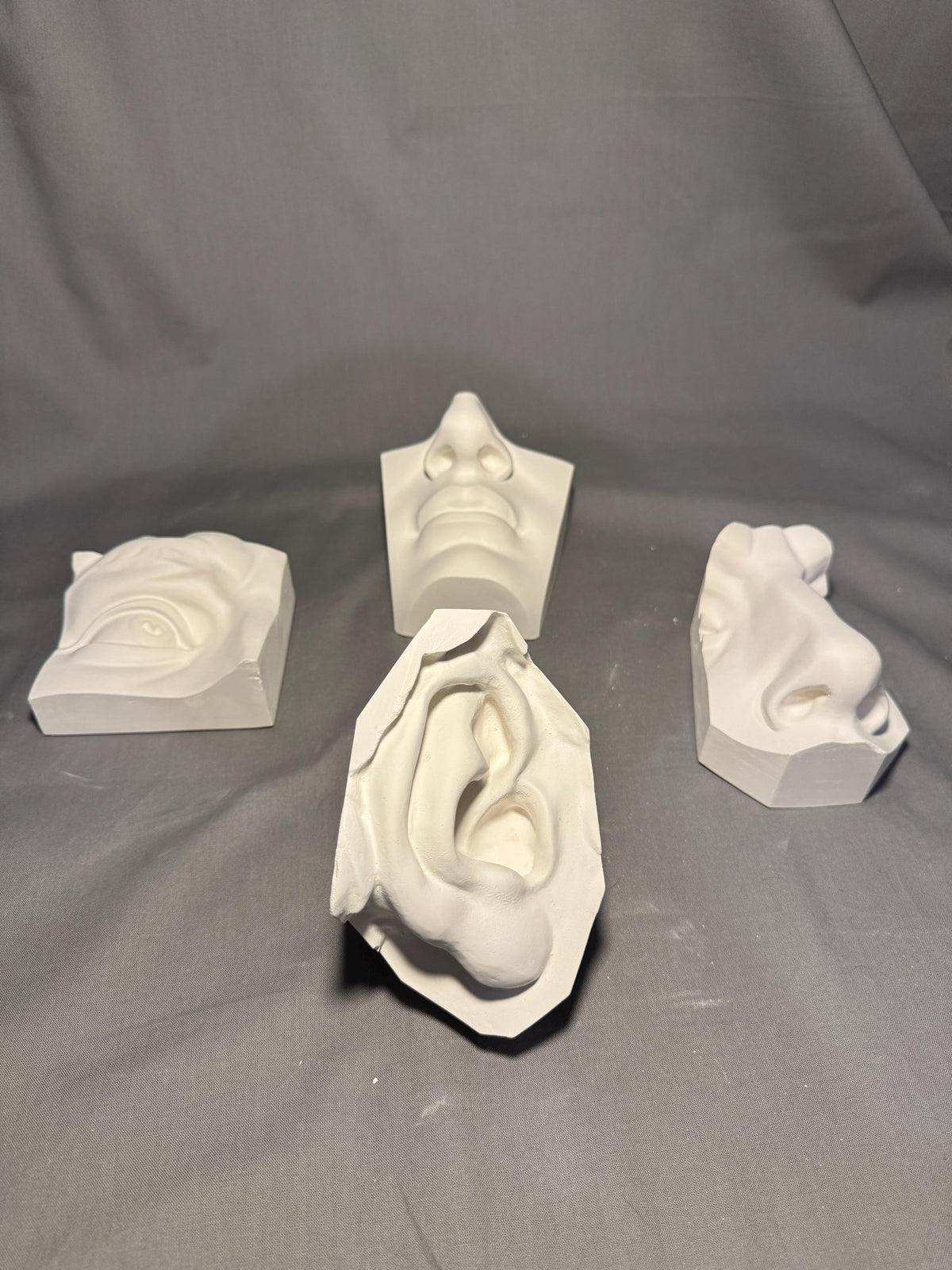 David 4-Piece Plaster Study Cast Set – Portrait Drawing & Anatomy Reference