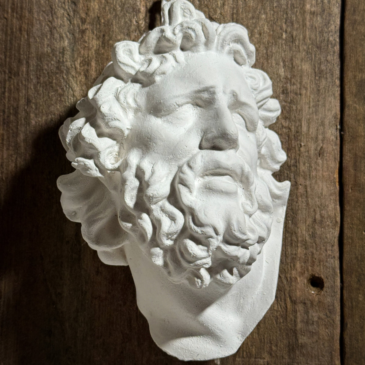 Laocoön Mask Plaster Study Cast – Portrait, Expression & Form Reference