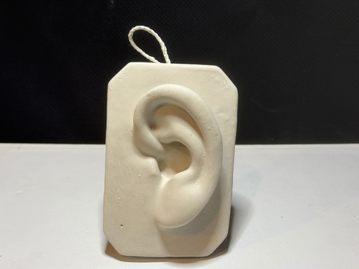 Plaster Nose and Ear Study, Basic Anatomy Reference, Handmade Portrait Sculpture, Drawing Tool