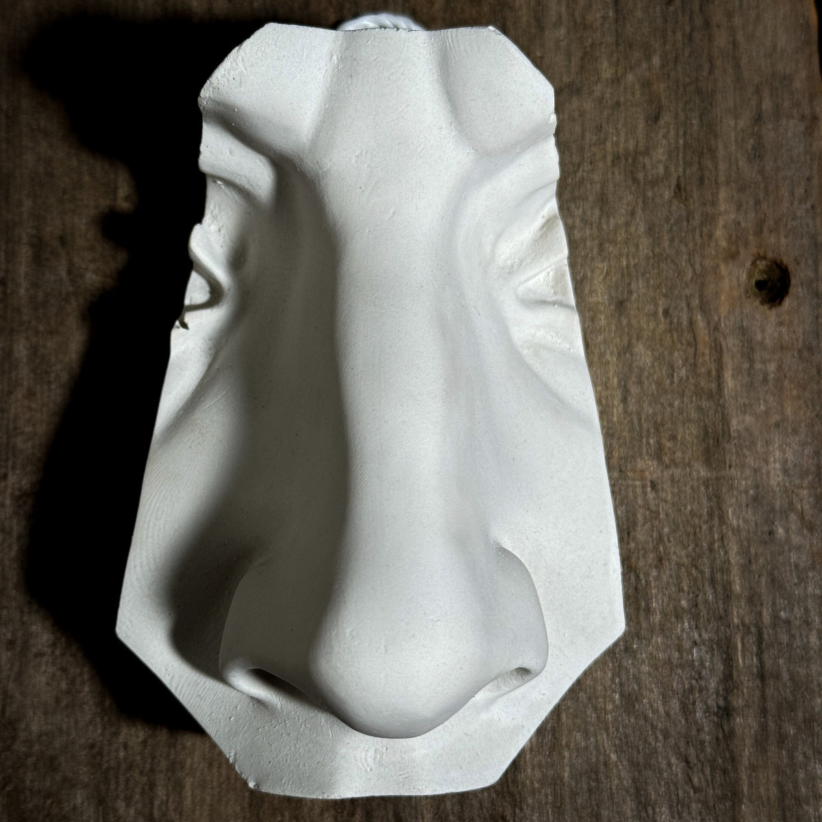 Nose of David, Art Practice Decor, Hand Sculpted Realism, Artist Gift