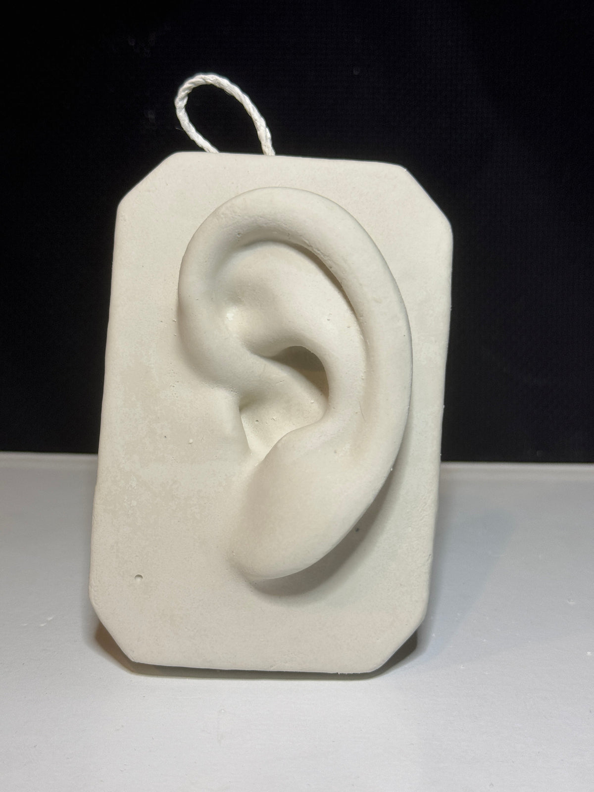 Plaster Nose and Ear Study, Basic Anatomy Reference, Handmade Portrait Sculpture, Drawing Tool