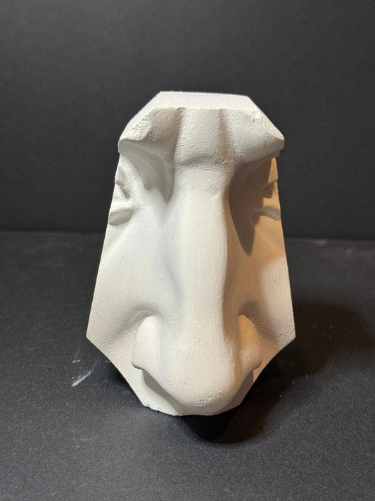 Nose of David Plaster Cast Art Reference, Handmade Sculpture for Artists